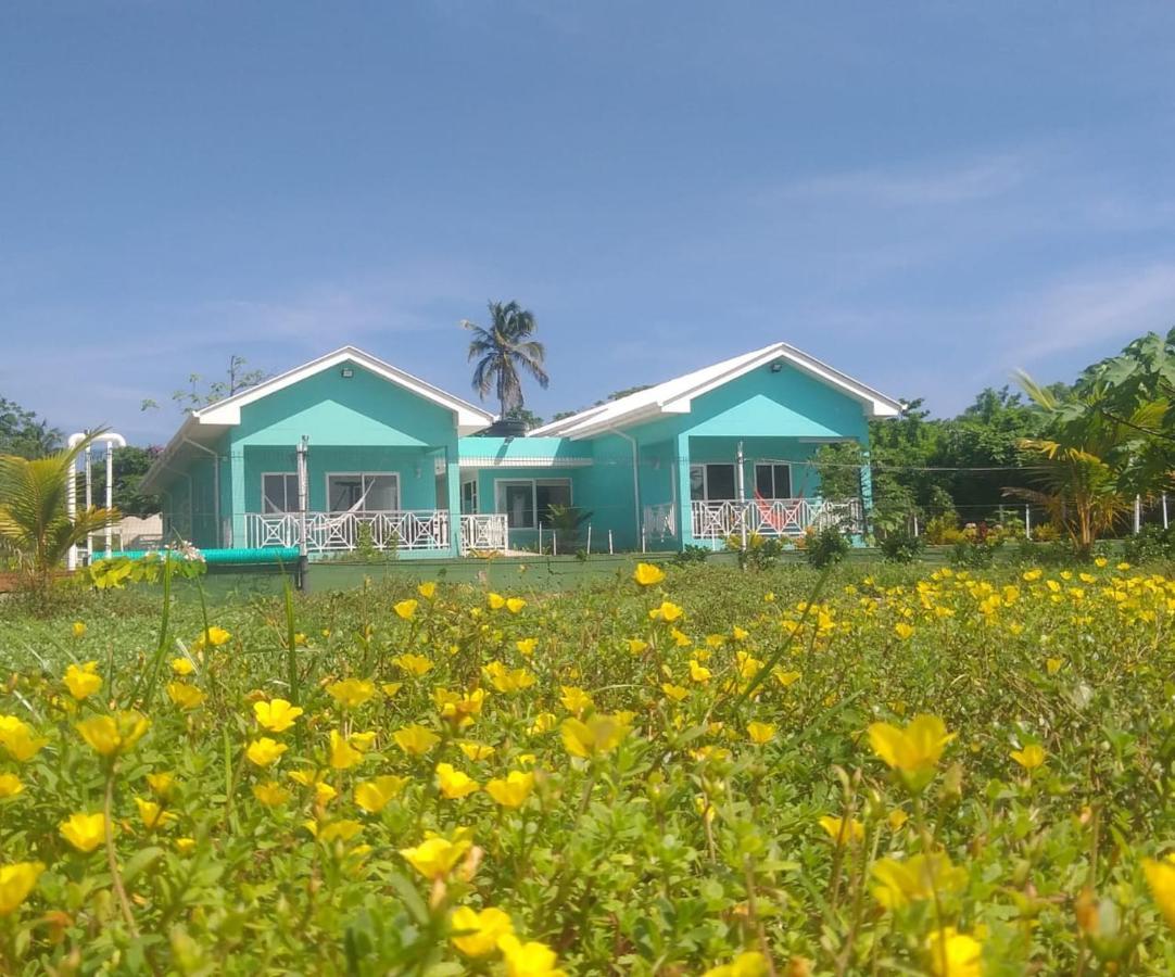 Blue Lizard House Villa San Andrés Dış mekan fotoğraf