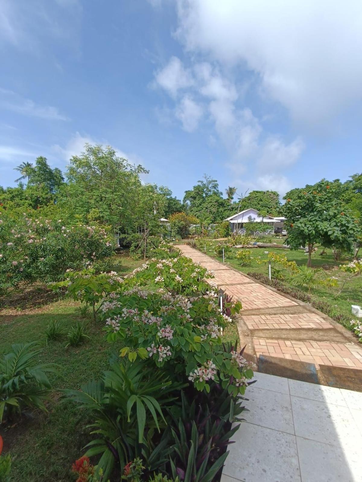 Blue Lizard House Villa San Andrés Dış mekan fotoğraf