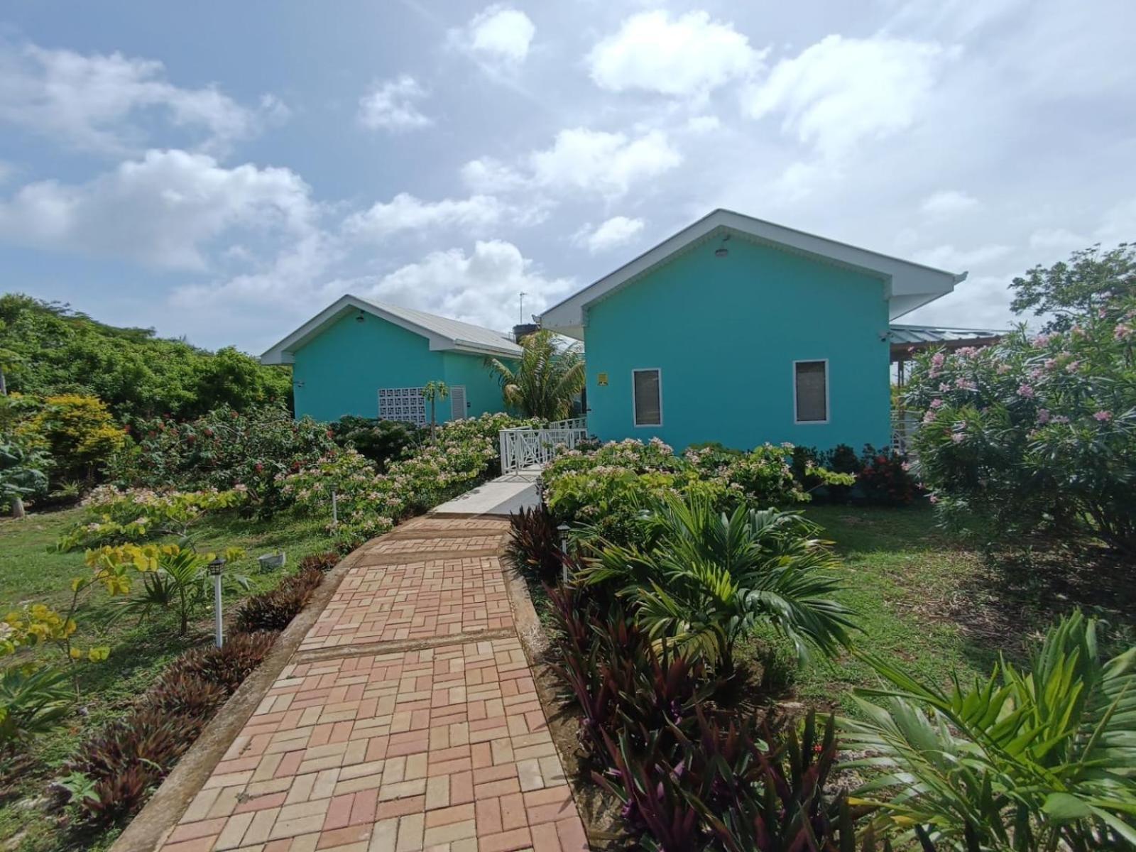 Blue Lizard House Villa San Andrés Dış mekan fotoğraf