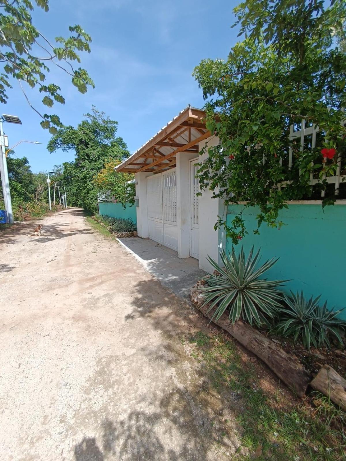 Blue Lizard House Villa San Andrés Dış mekan fotoğraf